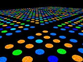 DNA microarray