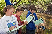 Students studying river water quality