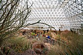 Visitors at Biosphere 2