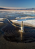 Owens lake re-irrigation,California,USA