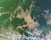 Deforestation in the Amazon,2011