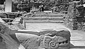 Mayan temple excavation,1910s
