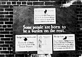 Eugenics exhibit at public fair,1926