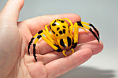 Spider,glass sculpture