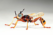 Wasp,glass sculpture