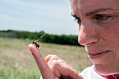 Honeybee radar tagging