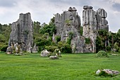 Karst stone forest in Yunnan province