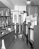 Column chromatography,1950s