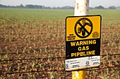 Gas pipeline marker