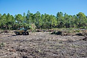 Everglades restoration,Florida,USA