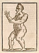 Monstrous human figure,17th century