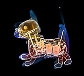 Toy robot dog,X-ray