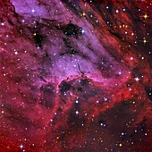 Pelican Nebula,optical image