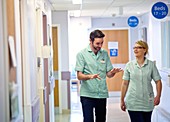 Apprentice clinical support workers