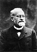 Alphonse Laveran,French physician
