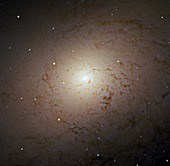 Andromeda Galaxy core,Hubble image