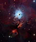 Reflection nebula NGC 1999