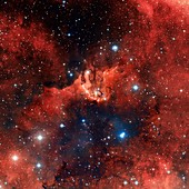 V1318 Cygni star cluster