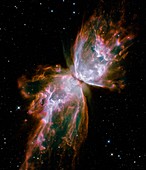 Butterfly planetary nebula,HST image