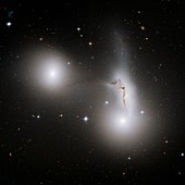 Interacting galaxies in HCG 90,HST image