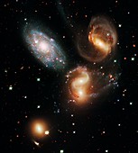 Stephan's Quintet galaxies,HST image