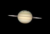 Saturn and moon transits,HST image