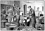 Matchstick factory,19th century