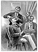 Thaler sensory illusion,19th century