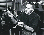 Alfred Hershey,US geneticist