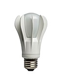 LED light bulb