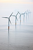 Offshore wind farm