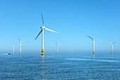 Offshore wind farm