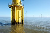 Offshore wind farm