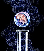 In vitro fertilisation,conceptual image