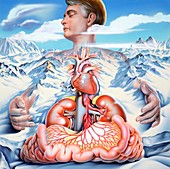 Sceptic shock and organ failure,artwork