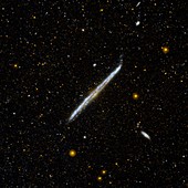 Galaxy NGC 4565,space telescope image