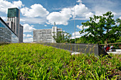 Green roof,Berlin,Germany