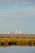 New Orleans and surrounding wetlands