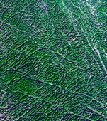 Karst landscape,satellite image