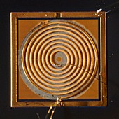 Condenser coil,3d micrograph