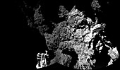 Comet Churyumov-Gerasimenko from Philae