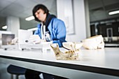 Forensic anthropology lab