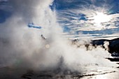 Sawmill Geyser erupting