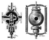 Legat regulator,19th century
