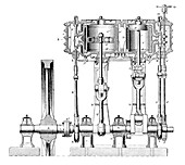 Compound steam engine,19th century