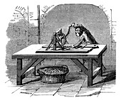 Coin production,19th century