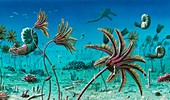 Triassic underwater scene,illustration