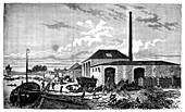 Sugar beet industry,19th century