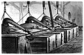 Aniline dyeing industry,19th century