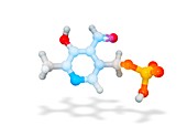 Pyridoxal phosphate molecule